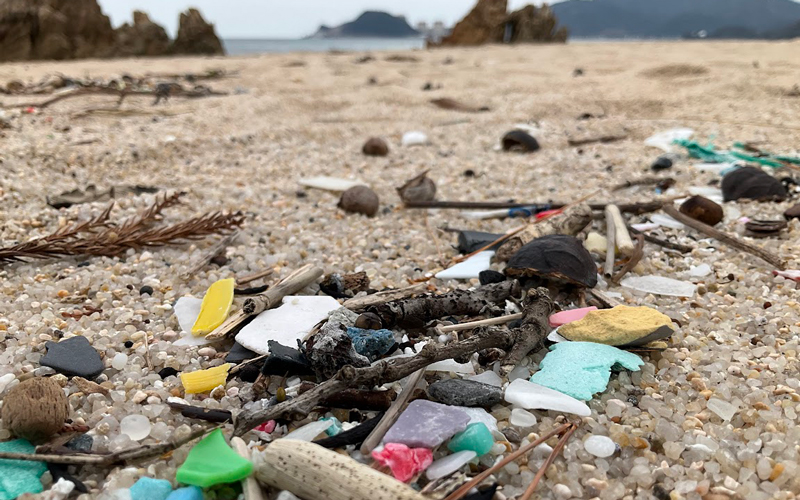 浜を読む③ 〜 浜辺のプラスチック〜後編   日本自然保護協会