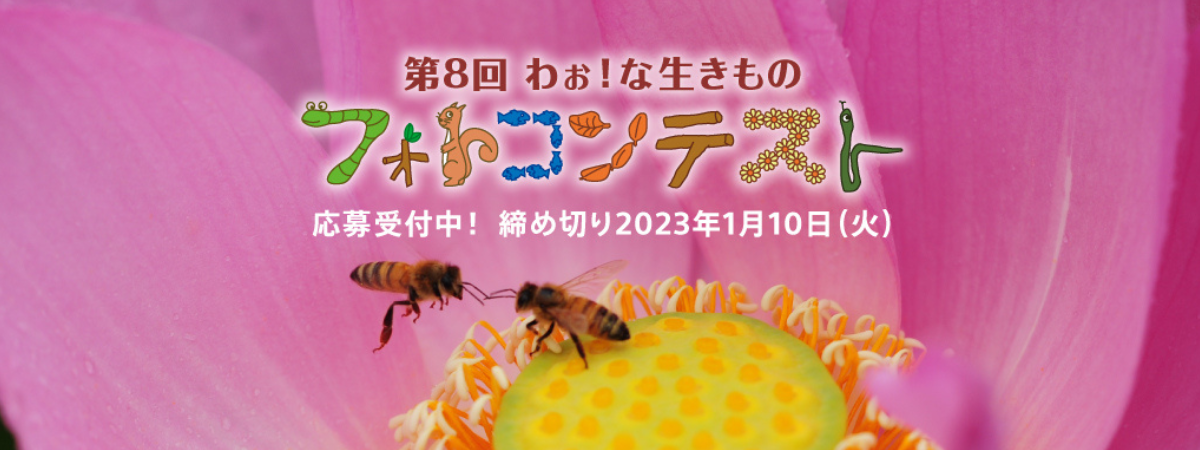 応募受付中！締め切り2023年1月10日（火）