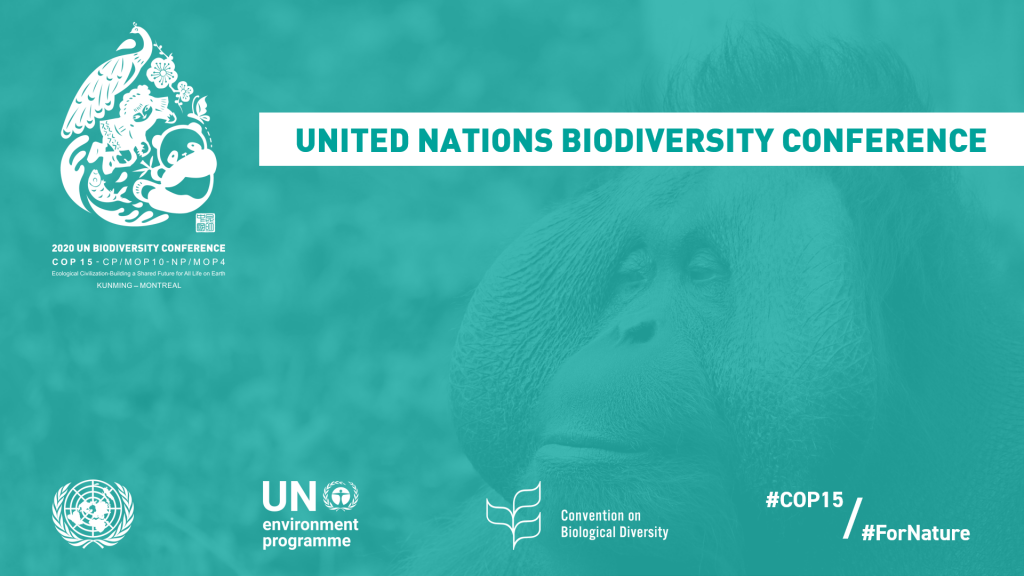 UNITED NATIONS BIODIVERSITY CONFERENCE