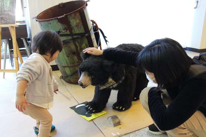 クマの剥製を見ている子供の写真