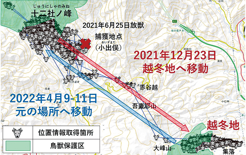 ニホンジカの移動軌跡を示した地図