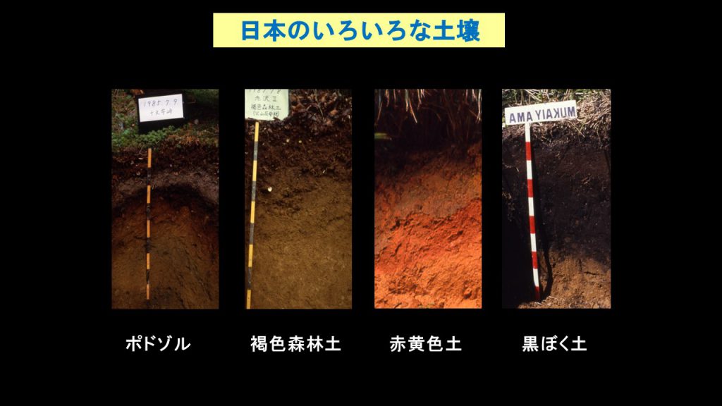 日本のいろいろな土壌の写真