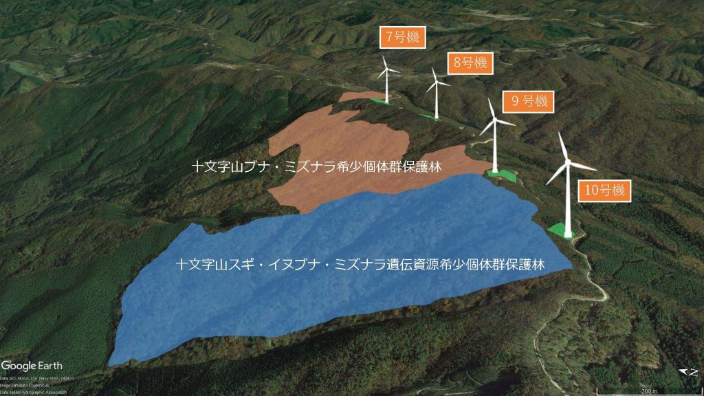 保護林の一を示した地図