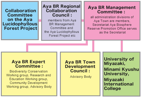 organizational chart