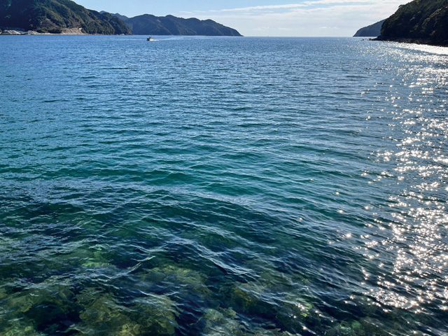 賀田湾の画像