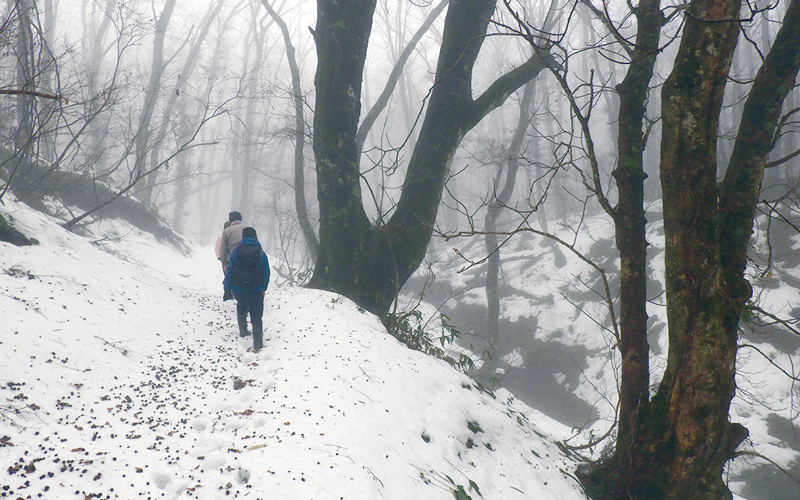 雪に覆われた山道の画像