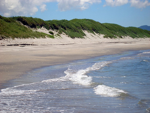 海岸砂丘の写真