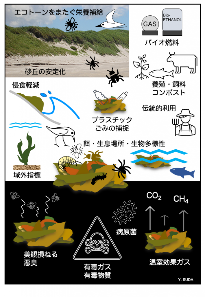 ラックの良い面と悪い面のイメージ図