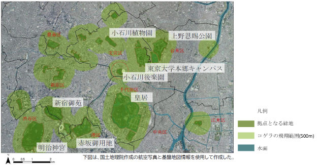 地図の画像