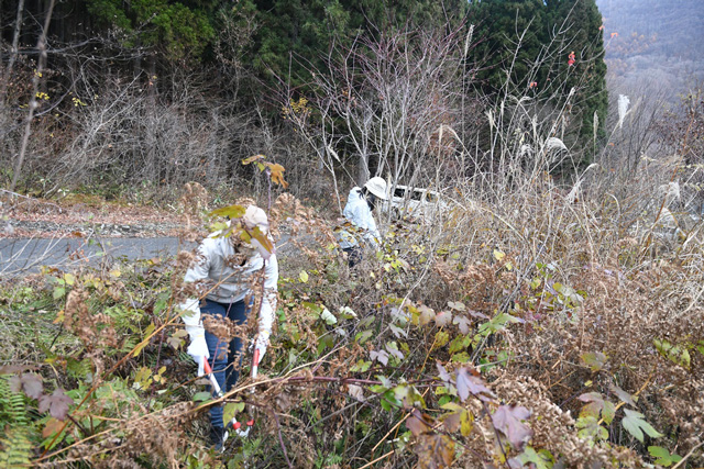 除伐作業をする参加者の写真