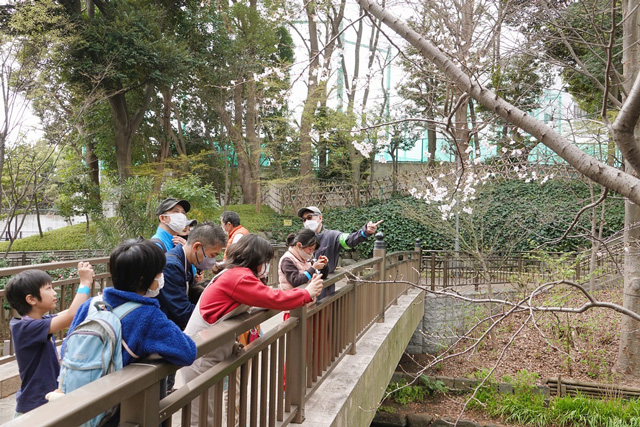 公園での撮影風景