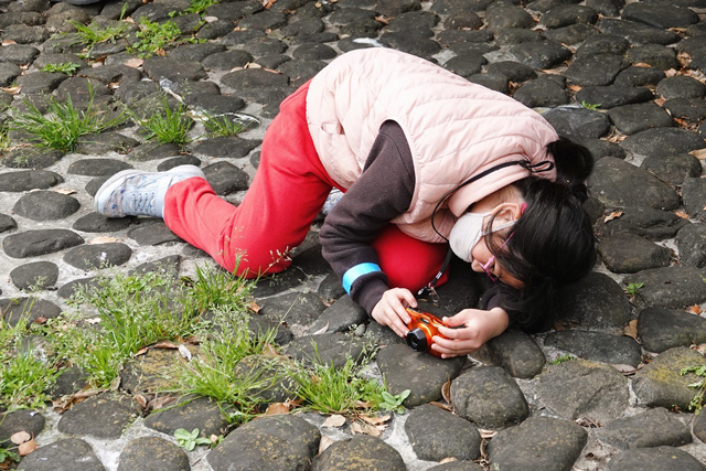 地面に寝転がって写真を撮る女の子の写真