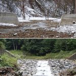 治山施設の比較図