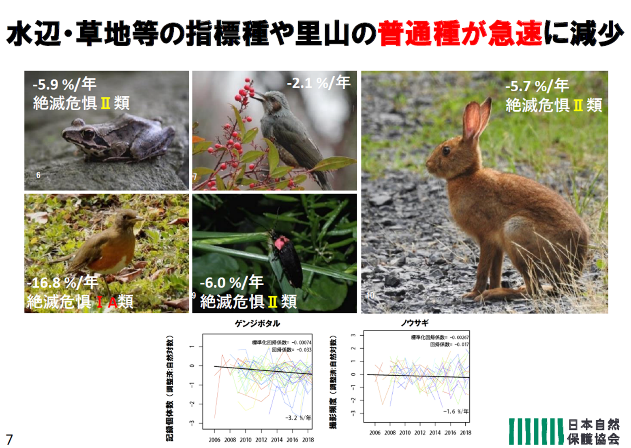 水辺や草地等の指標種や里山の普通種が急速に激減