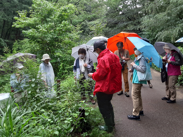 雨の中の調査風景の写真