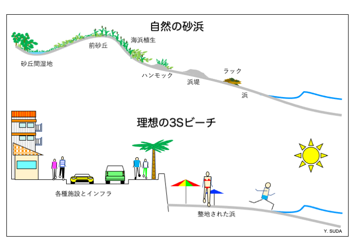 自然の砂浜と理想の3Sビーチの比較図