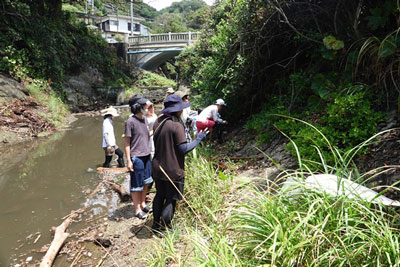 川辺でカニを探す参加者の画像