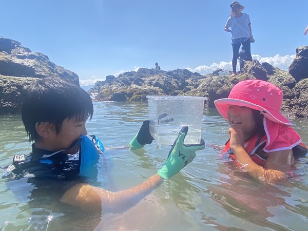 採取した生き物を眺める子どもの写真