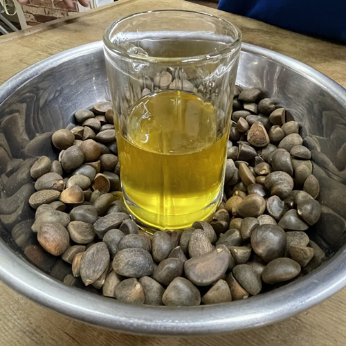 椿油の写真