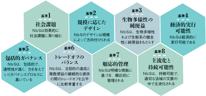 NbSの8つの基準の説明図