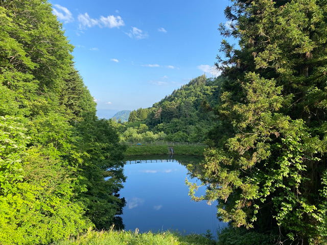 権現池の画像