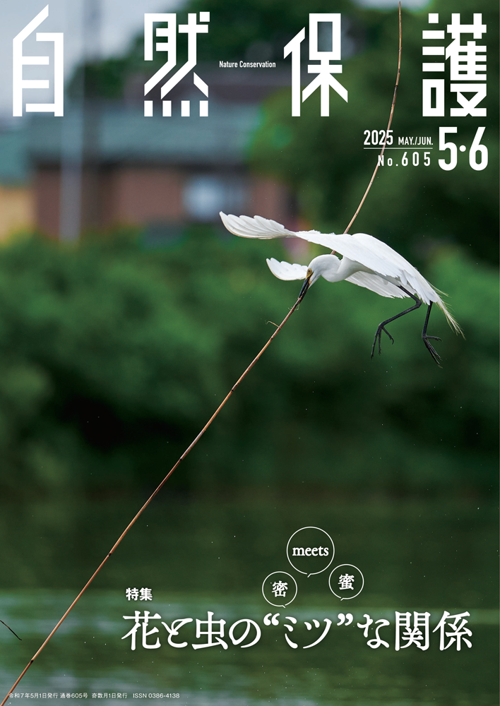 自然保護No605（5-6月号）表紙の画像