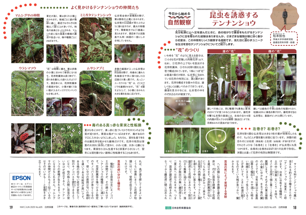 今日からはじめる自然観察の見開きページの画像