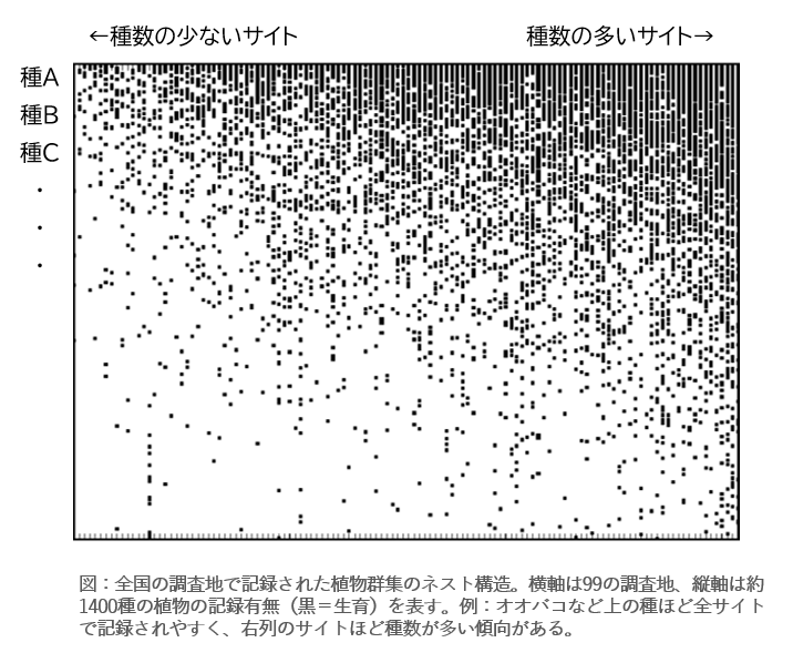 グラフの画像