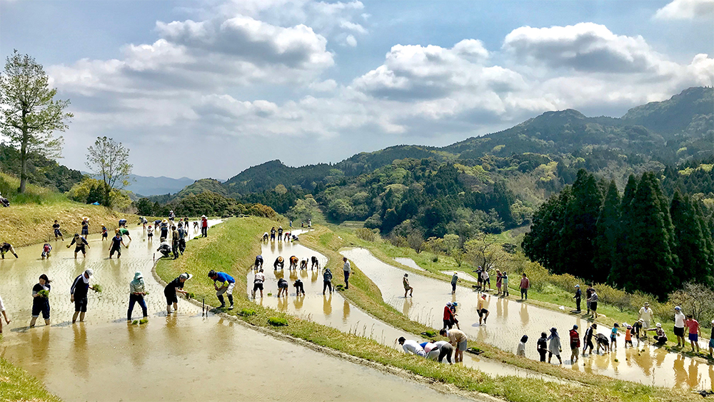 大山千枚田