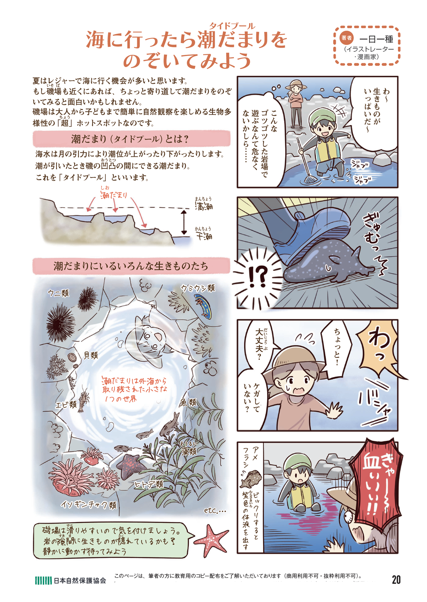 今日から始める自然観察の４コマ漫画の画像