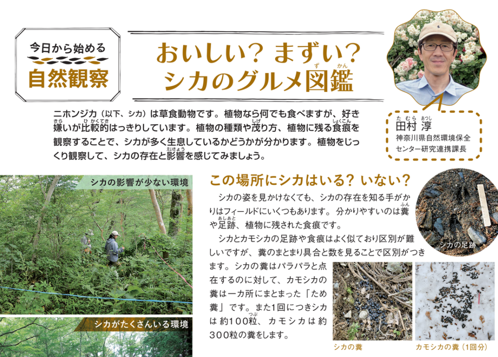 今日から始める自然観察タイトル画像