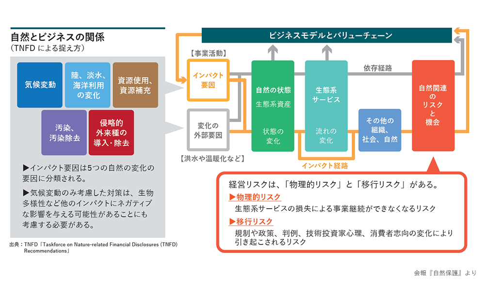 自然とビジネスの関係
