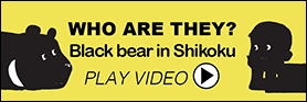 WHO ARE THEY? Black bear in Shikoku