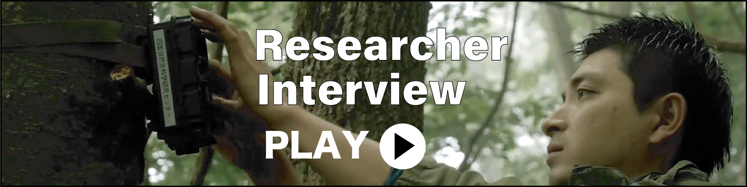 Researcher Interview PLAY