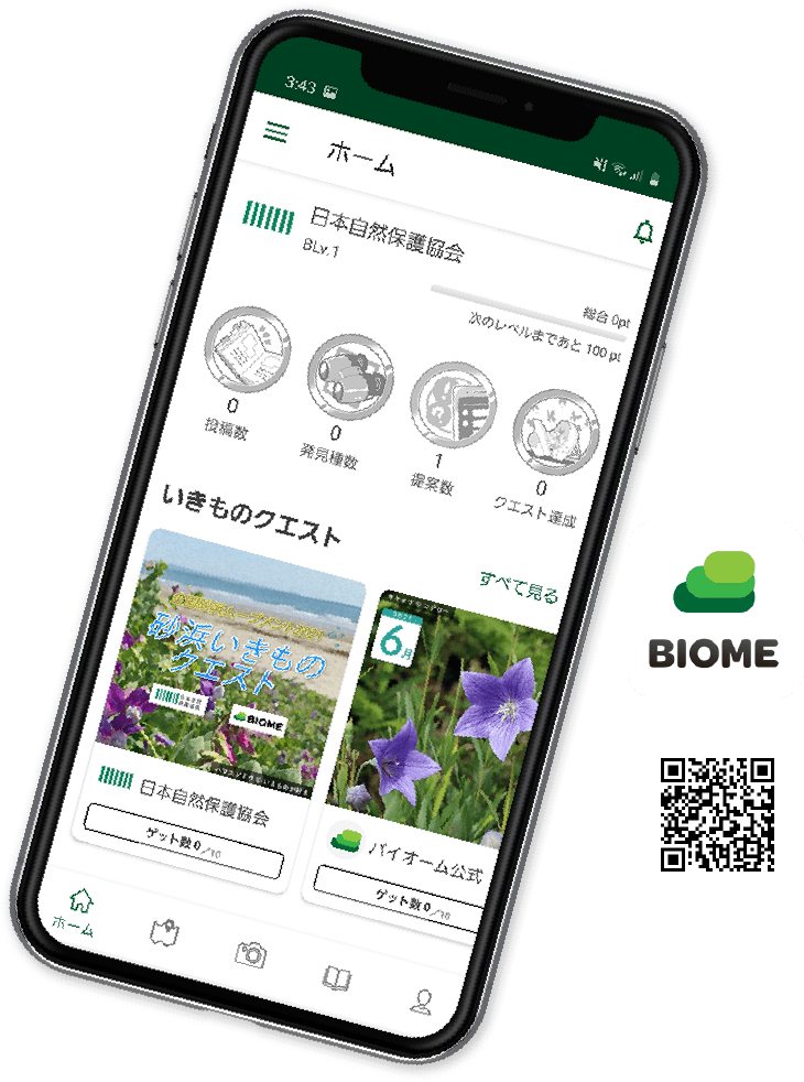 砂浜いきものクエスト ~自然しらべ2022~