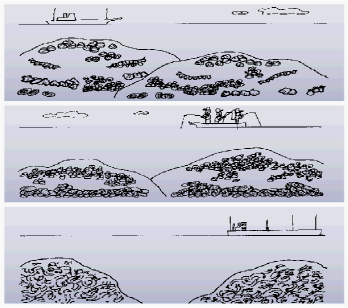 貝などのイラスト図