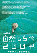 調査マニュアルの表紙画像
