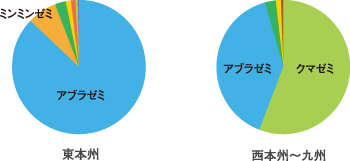 円グラフ