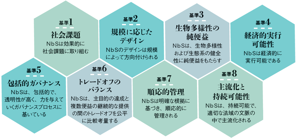 NbSの8つの評価基準