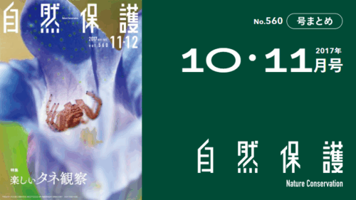会報『自然保護』No.560　2017年11・12月号　特集：楽しいタネ観察