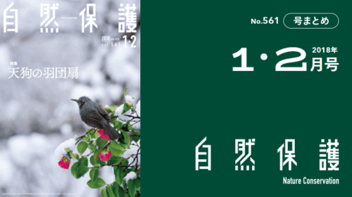 会報『自然保護』No.561　2018年1・2月号　特集：天狗の羽団扇