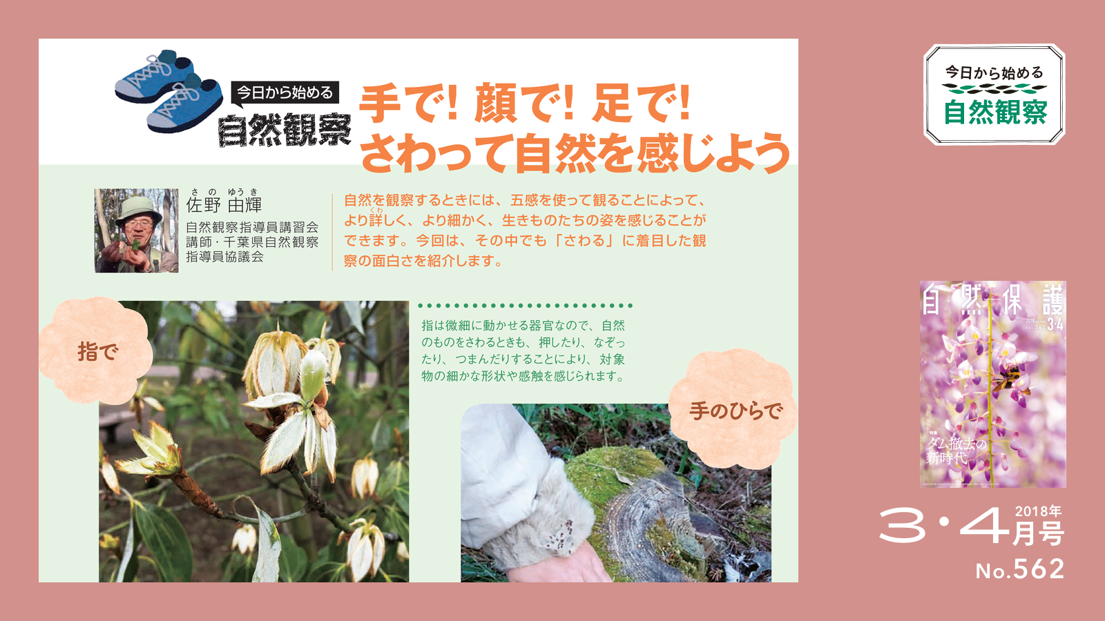 今日から始める自然観察のタイトル画像