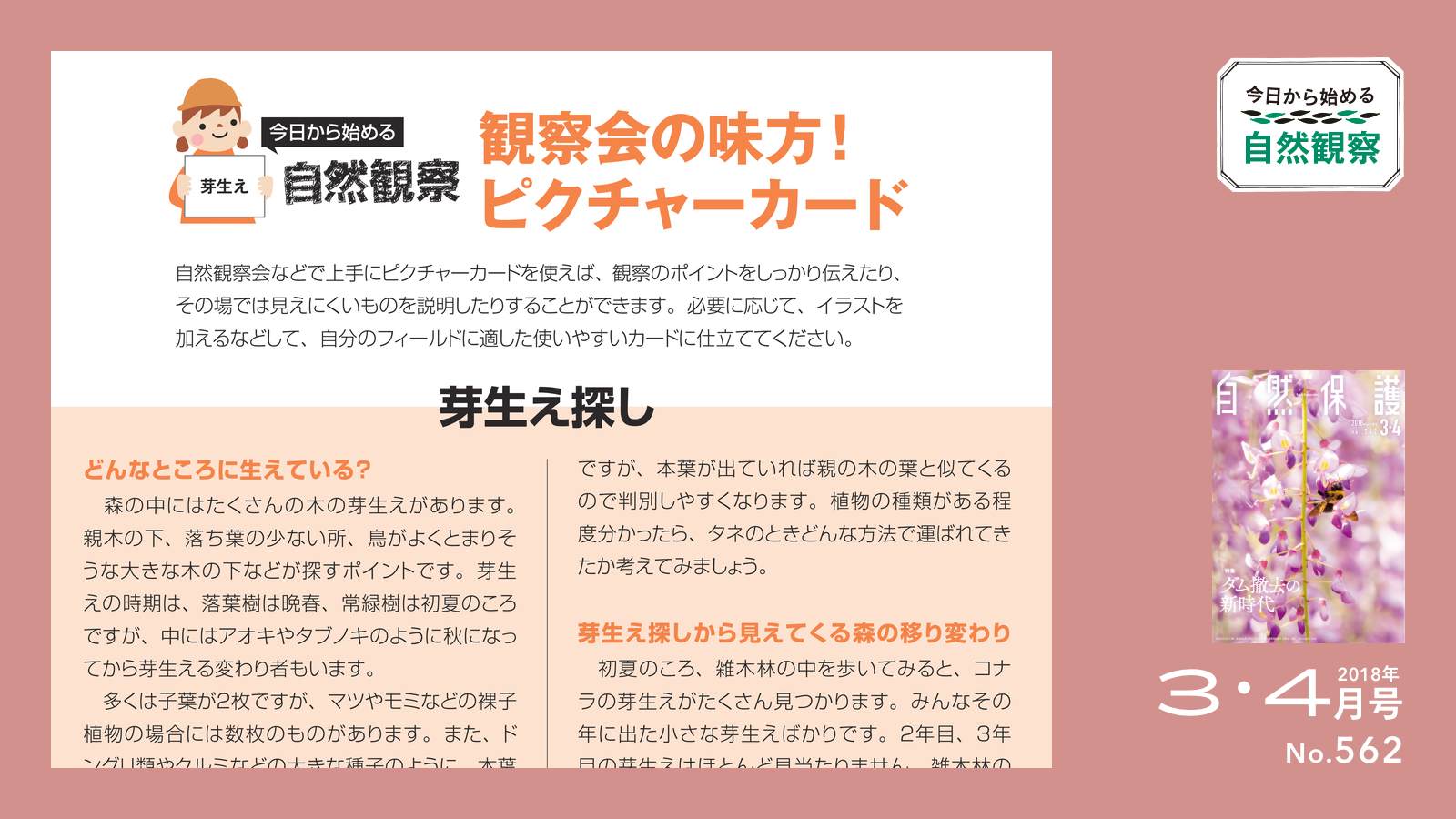 ピクチャーカード芽生え探しのタイトル画像
