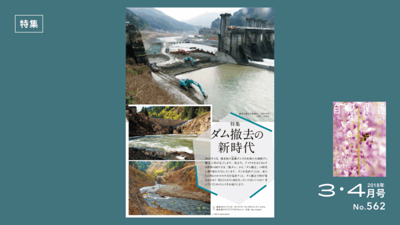 特集記事のタイトル画像