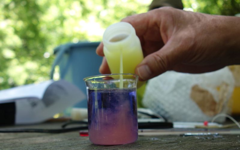 水質の変化を可視化する実験(写真)