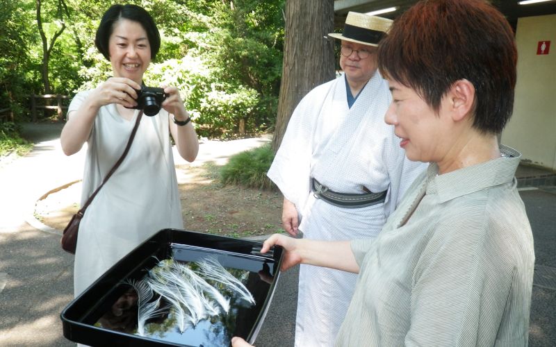 鷺の羽を撮影する、伝統芸能の道具ラボの田村民子さん