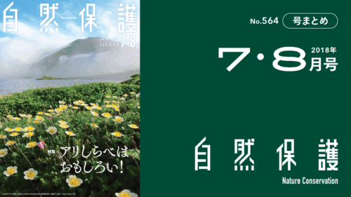 会報『自然保護』No.564　2018年7・8月号　特集：アリしらべはおもしろい！