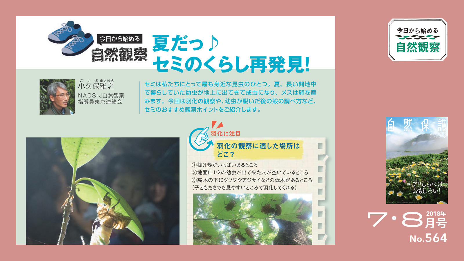564号「今日からはじめる自然観察」アイキャッチ