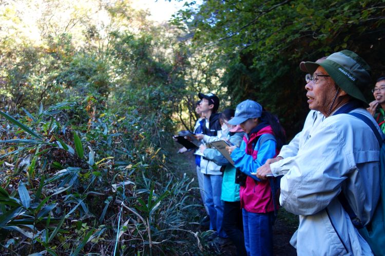 鳥類調査の様子(写真)