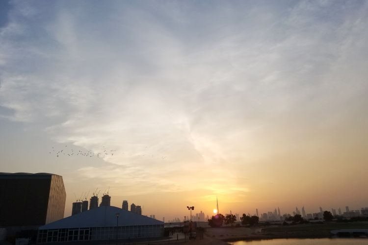 写真2